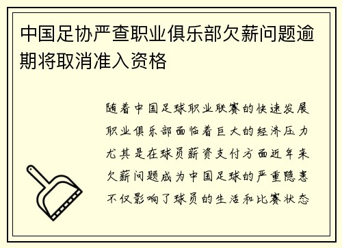 中国足协严查职业俱乐部欠薪问题逾期将取消准入资格